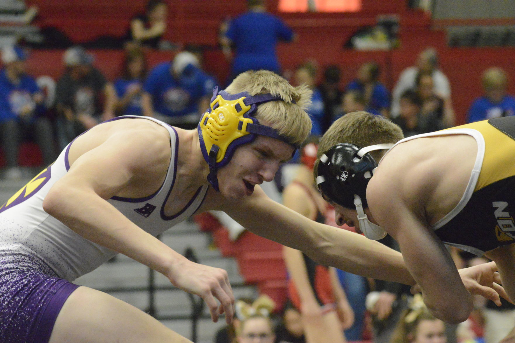 iowa sect 2a wr 2718.JPG